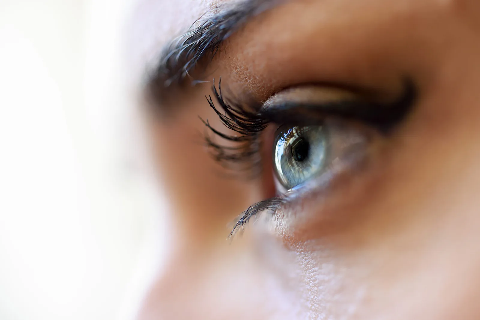 Nahaufnahme der blauen Augen einer jungen Frau mit langen Wimpern